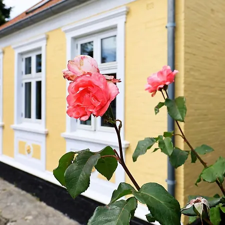 6 Person Holiday Home In Marstal 度假居